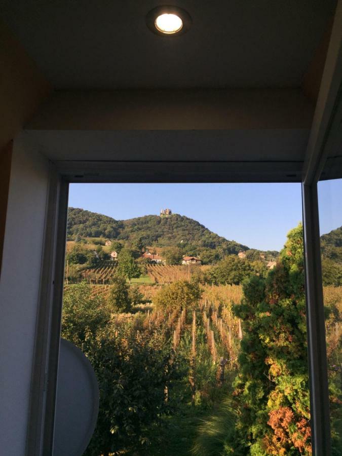 Izabella Vendeghaz Somlo Daire Doba Dış mekan fotoğraf
